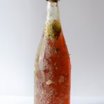 _DSC0031 (1)