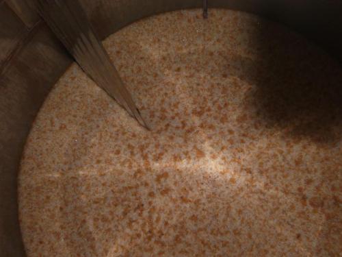 Proceso fermentativo